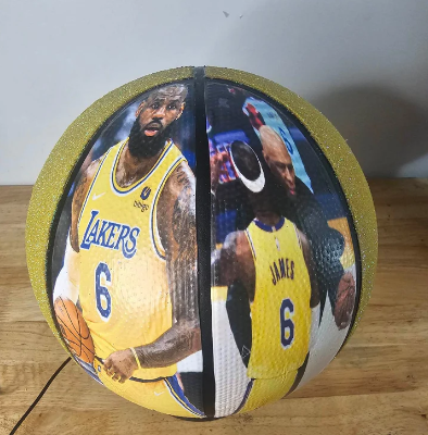 Custom Basketball (For Display Purposes Only)