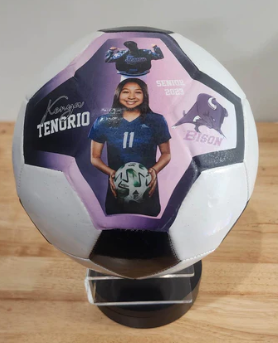 Custom Soccer ball (For Display Purposes Only)